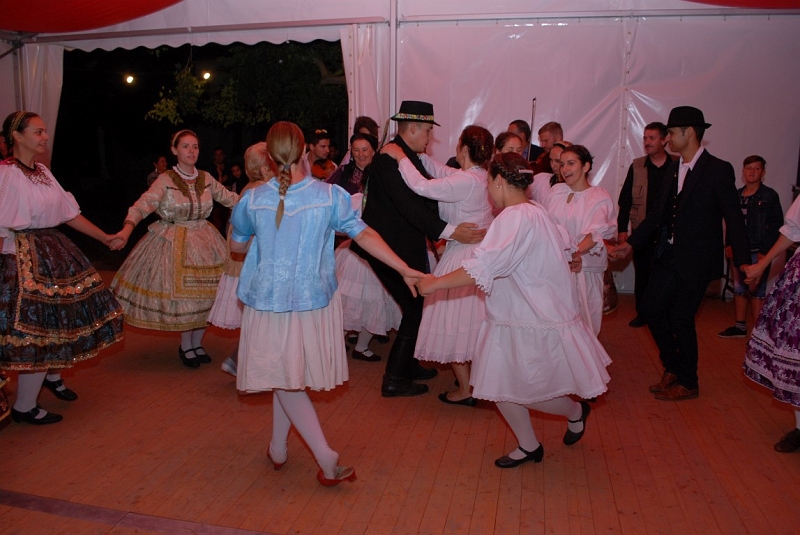 DSC_2366 (Medium).JPG